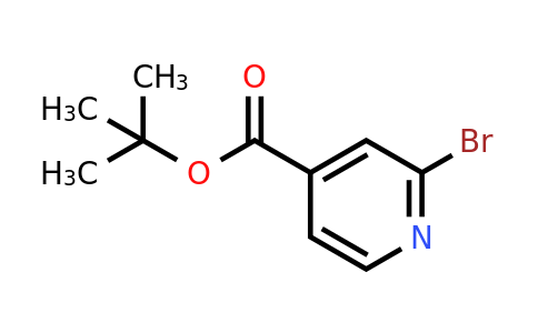 CAS 433711-95-6 | 2-Bromo-4-pyridine carboxylic acid tert-butyl ester