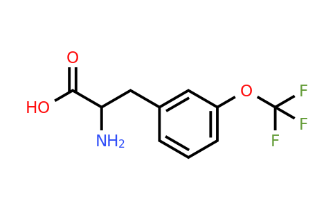 CAS 439587-14-1 | 2-Amino-3-(3-trifluoromethoxy-phenyl)-propionic acid