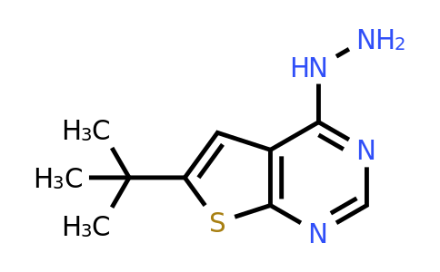 CAS 439692-56-5 | 6-(tert-butyl)-4-hydrazinylthieno[2,3-d]pyrimidine