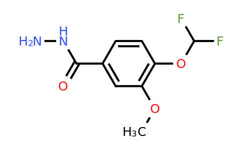CAS 446267-81-8 | 4-(Difluoromethoxy)-3-methoxybenzohydrazide