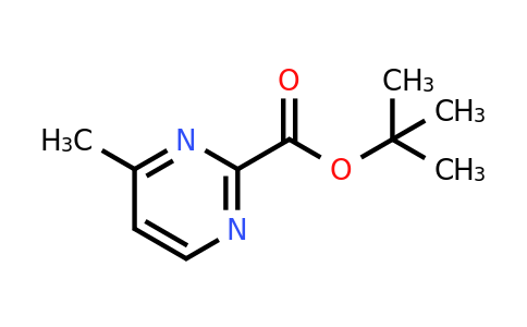 CAS 446313-59-3 | tert-Butyl 4-methylpyrimidine-2-carboxylate