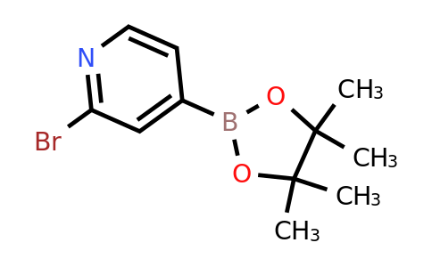 CAS 458532-82-6 | 2-Bromopyridine-4-boronic acid pinacol ester