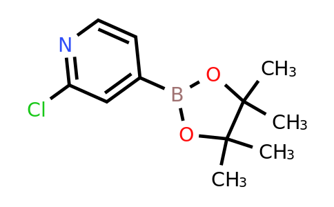 CAS 458532-84-8 | 2-Chloropyridine-4-boronic acid pinacol ester