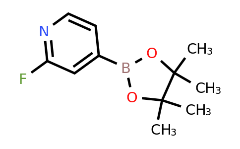 CAS 458532-86-0 | 2-Fluoropyridine-4-boronic acid pinacol ester