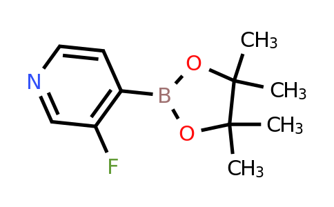 3-Fluoropyridine-4-boronic acid pinacol ester