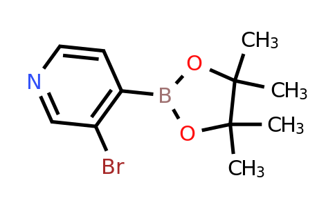CAS 458532-92-8 | 3-Bromopyridine-4-boronic acid pinacol ester