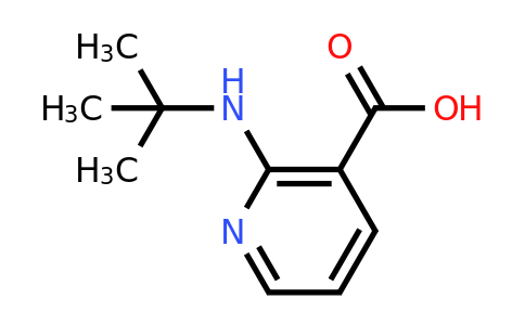 CAS 460044-25-1 | 2-(tert-Butylamino)nicotinic acid