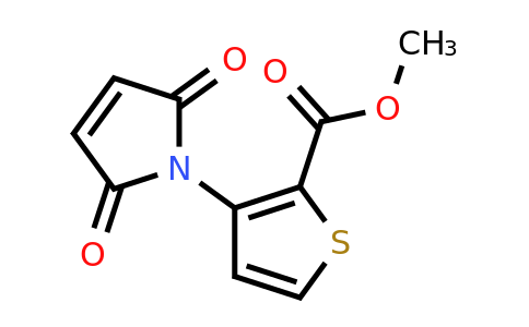 CAS 465514-23-2 | methyl 3-(2,5-dioxo-2,5-dihydro-1H-pyrrol-1-yl)thiophene-2-carboxylate