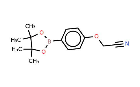 CAS 475272-13-0 | 4-Cyanomethoxyphenylboronic acid, pinacol ester