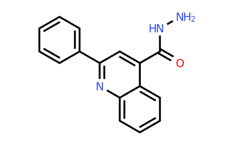 CAS 4779-54-8 | 2-phenylquinoline-4-carbohydrazide