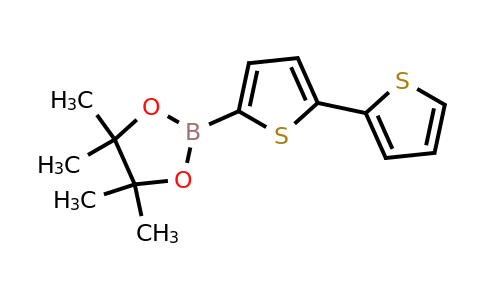 CAS 479719-88-5 | 2,2'-Bithiophene-5-boronic acid pinacol ester