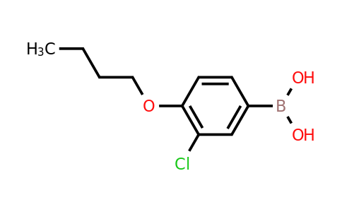 CAS 480438-55-9 | 4-Butoxy-3-chlorophenylboronic acid