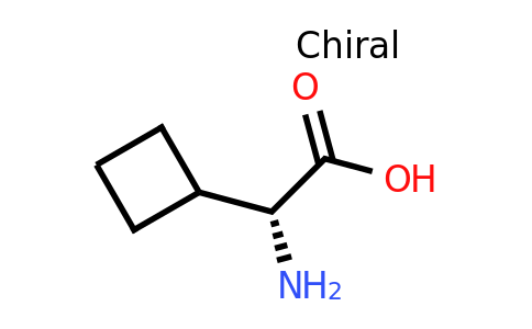 CAS 49607-10-5 | D-cyclobutylglycine