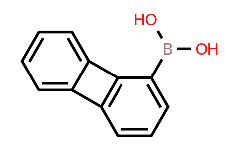 CAS 499769-97-0 | 1-Biphenylenylboronic acid