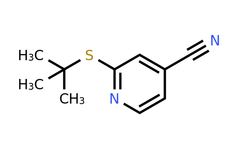 CAS 501074-85-7 | 2-(tert-butylsulfanyl)pyridine-4-carbonitrile