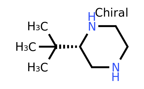 CAS 502482-37-3 | S-2-tert-butyl piperazine