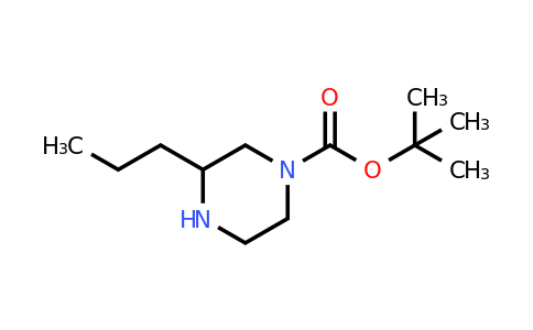 CAS 502649-27-6 | tert-butyl 3-propylpiperazine-1-carboxylate
