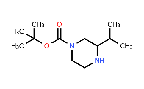 CAS 502649-32-3 | 1-BOC-3-Isopropyl-piperazine