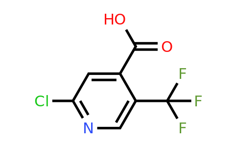 CAS 505084-58-2 | 2-Chloro-5-(trifluoromethyl)pyridine-4-carboxylic acid