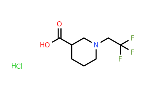CAS 50586-00-0 | 1-(2,2,2-trifluoroethyl)piperidine-3-carboxylic acid hydrochloride