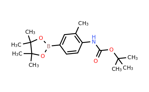 CAS 508223-54-9 | tert-Butyl (2-methyl-4-(4,4,5,5-tetramethyl-1,3,2-dioxaborolan-2-yl)phenyl)carbamate