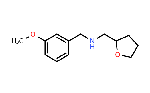 CAS 510723-82-7 | [(3-methoxyphenyl)methyl][(oxolan-2-yl)methyl]amine
