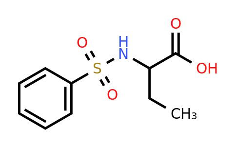 CAS 51786-16-4 | 2-(Phenylsulfonamido)butanoic acid