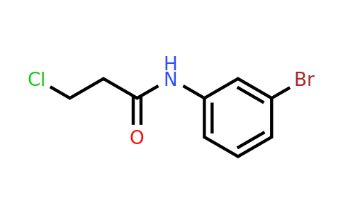 CAS 519016-88-7 | N-(3-bromophenyl)-3-chloropropanamide