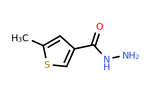 CAS 524731-02-0 | 5-Methylthiophene-3-carbohydrazide