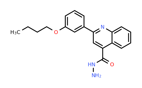 CAS 524932-95-4 | 2-(3-Butoxyphenyl)quinoline-4-carbohydrazide