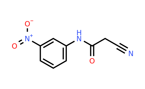CAS 52570-56-6 | 2-Cyano-N-(3-nitrophenyl)acetamide