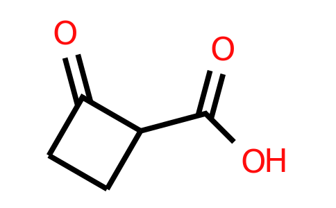 CAS 52903-57-8 | 2-oxocyclobutane-1-carboxylic acid