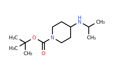 CAS 534595-51-2 | 4-Isopropylamino-piperidine-1-carboxylic acid tert-butyl ester
