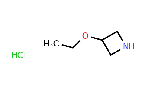 CAS 535924-73-3 | 3-Ethoxy-azetidine hydrochloride
