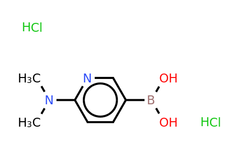 CAS 535934-70-4 | 2-(N,N-dimethylamino)pyridine-5-boronic acid 2hcl
