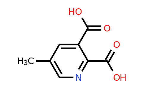 CAS 53636-65-0 | 5-Methylpyridine-2,3-dicarboxylic acid