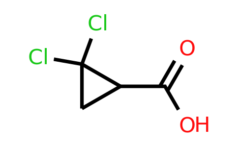 CAS 5365-14-0 | 2,2-dichlorocyclopropane-1-carboxylic acid
