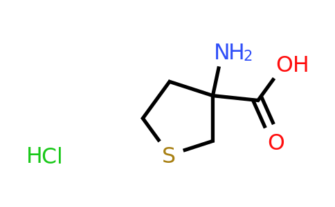 CAS 53747-09-4 | 3-Amino-tetrahydro-thiophene-3-carboxylic acid hydrochloride