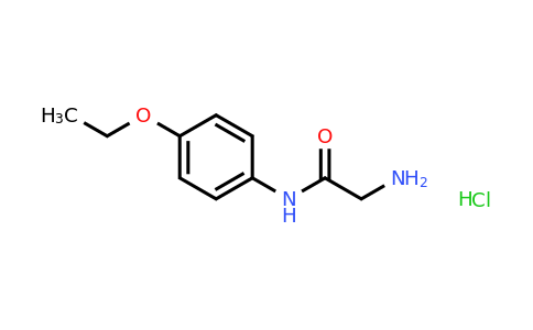 CAS 539-10-6 | 2-Amino-N-(4-ethoxyphenyl)acetamide hydrochloride