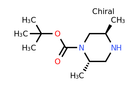 CAS 548762-66-9 | (2S,5R)-2,5-Dimethyl-piperazine-1-carboxylic acid tert-butyl ester