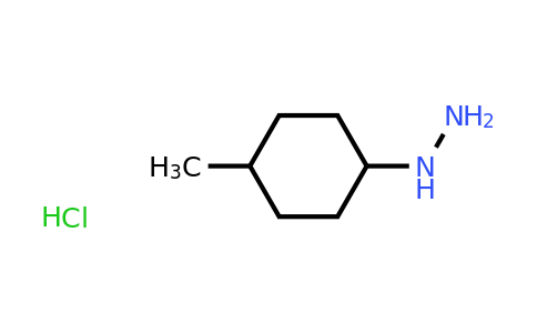 CAS 553672-34-7 | (4-methylcyclohexyl)hydrazine hydrochloride