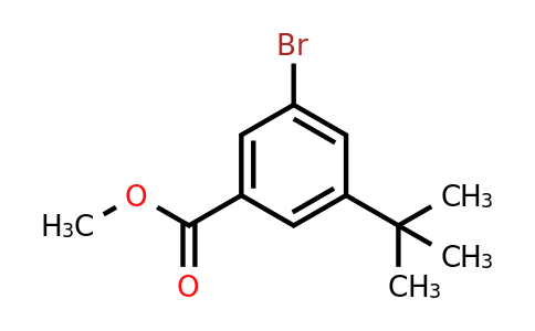 CAS 560131-64-8 | Methyl 3-bromo-5-tert-butylbenzoate