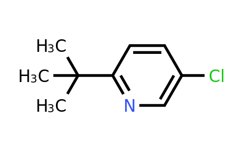 CAS 56029-44-8 | 2-Tert-butyl-5-chloropyridine