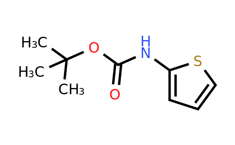 CAS 56267-50-6 | Thiophen-2-yl-carbamic acid tert-butyl ester