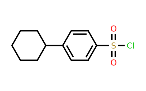 CAS 56354-57-5 | 4-cyclohexylbenzene-1-sulfonyl chloride