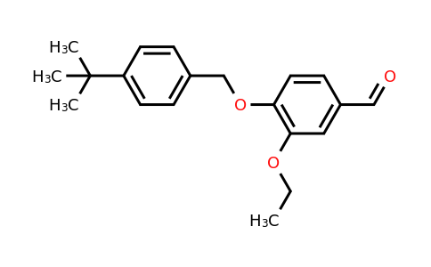 CAS 565168-71-0 | 4-[(4-tert-butylphenyl)methoxy]-3-ethoxybenzaldehyde