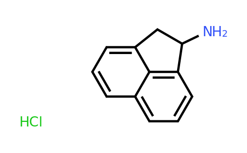 CAS 5668-66-6 | 1,2-Dihydroacenaphthylen-1-amine hydrochloride