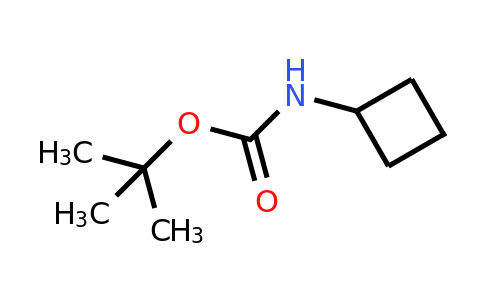 CAS 56700-66-4 | Cyclobutyl-carbamic acid tert-butyl ester