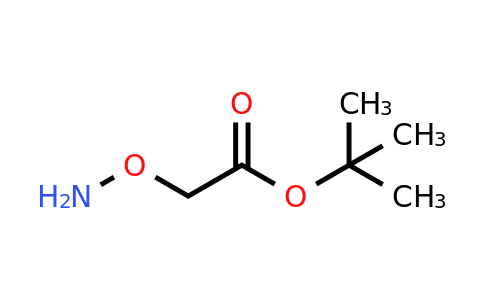 CAS 56834-02-7 | tert-Butyl 2-(aminooxy)acetate