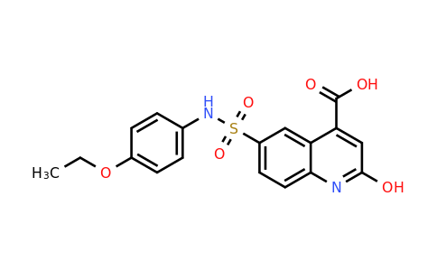 CAS 568543-64-6 | 6-[(4-ethoxyphenyl)sulfamoyl]-2-hydroxyquinoline-4-carboxylic acid